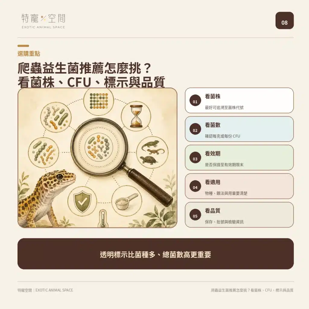 爬蟲益生菌有必要嗎?益生菌配方不能亂餵,拒食、軟便與正確用法一次看懂 08 HOW TO CHOOSE