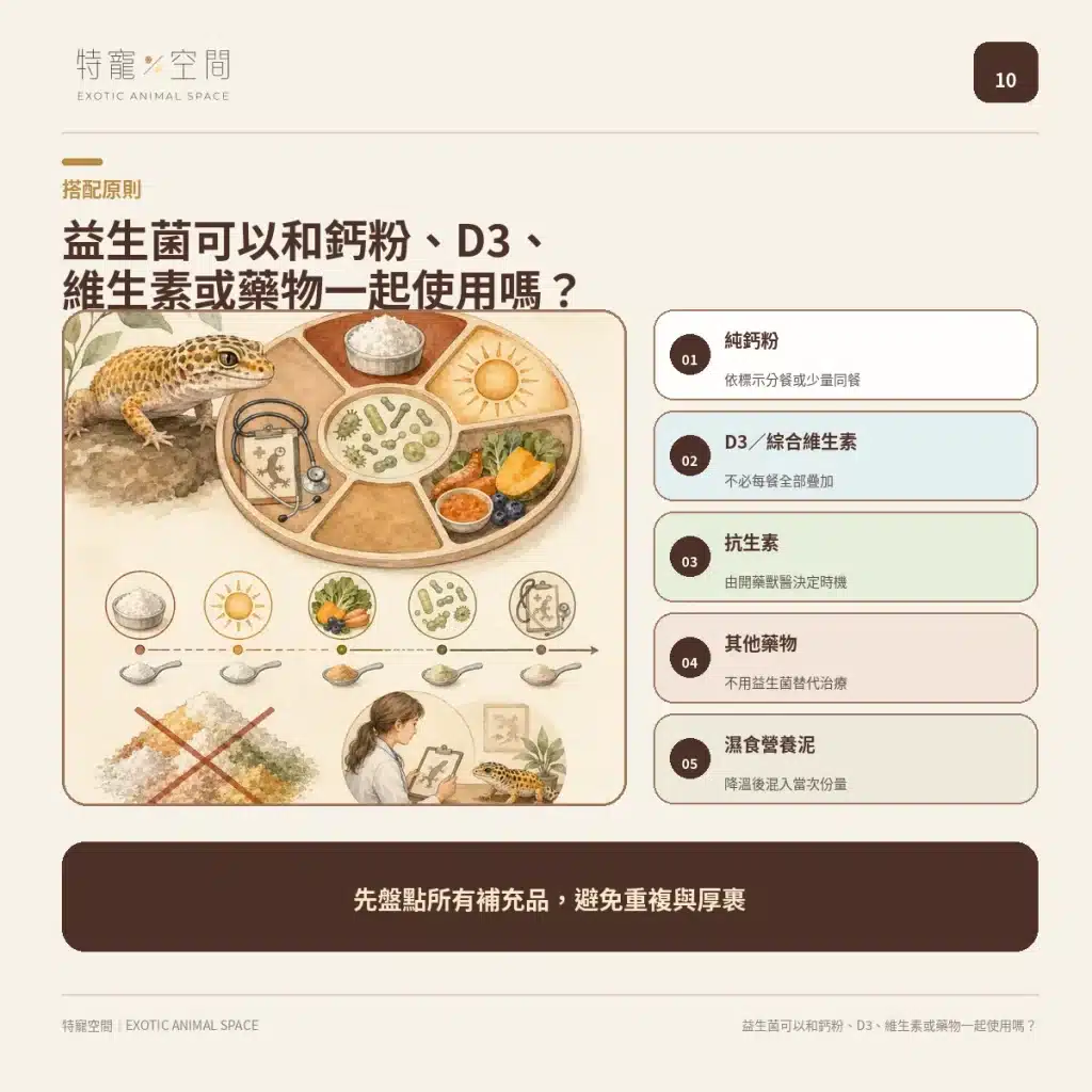 爬蟲益生菌有必要嗎?益生菌配方不能亂餵,拒食、軟便與正確用法一次看懂 10 SUPPLEMENT AND MEDICINE MIXING