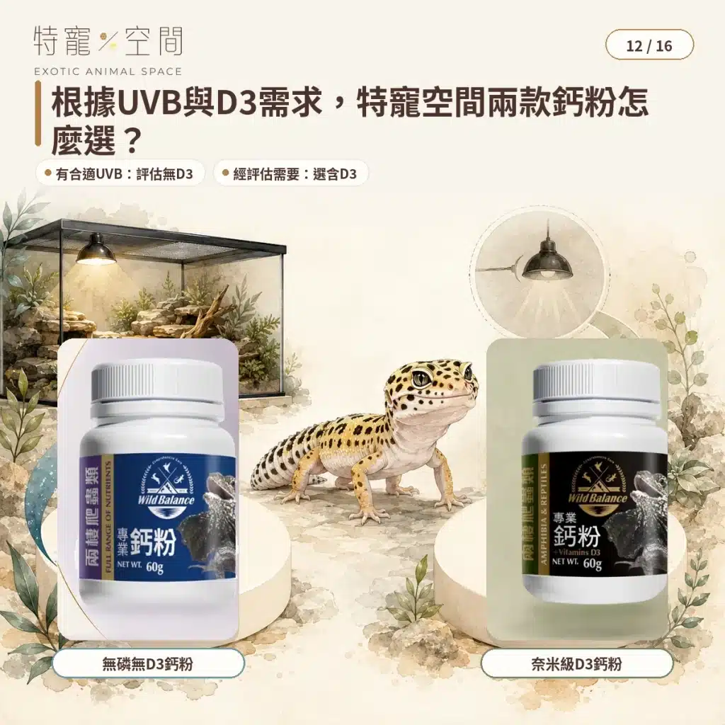 12 EXOTIC ANIMAL SPACE CALCIUM PRODUCTS