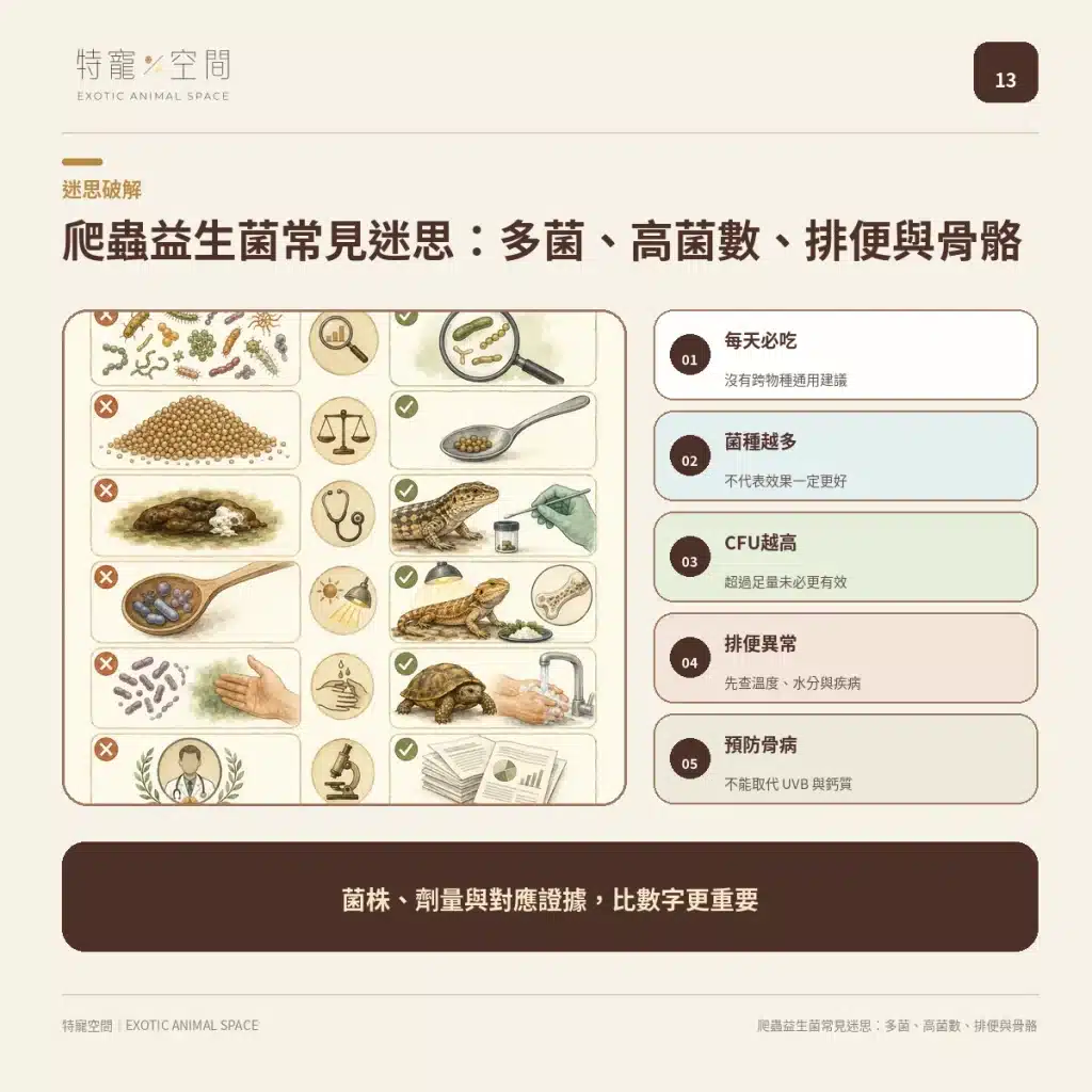 爬蟲益生菌有必要嗎?益生菌配方不能亂餵,拒食、軟便與正確用法一次看懂 13 COMMON MYTHS