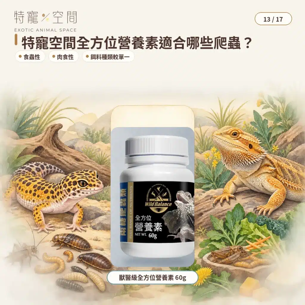 爬蟲營養素是什麼?食蟲、肉食性爬蟲的全方位營養補充指南 13 EXOTIC ANIMAL SPACE FULL RANGE NUTRIENTS