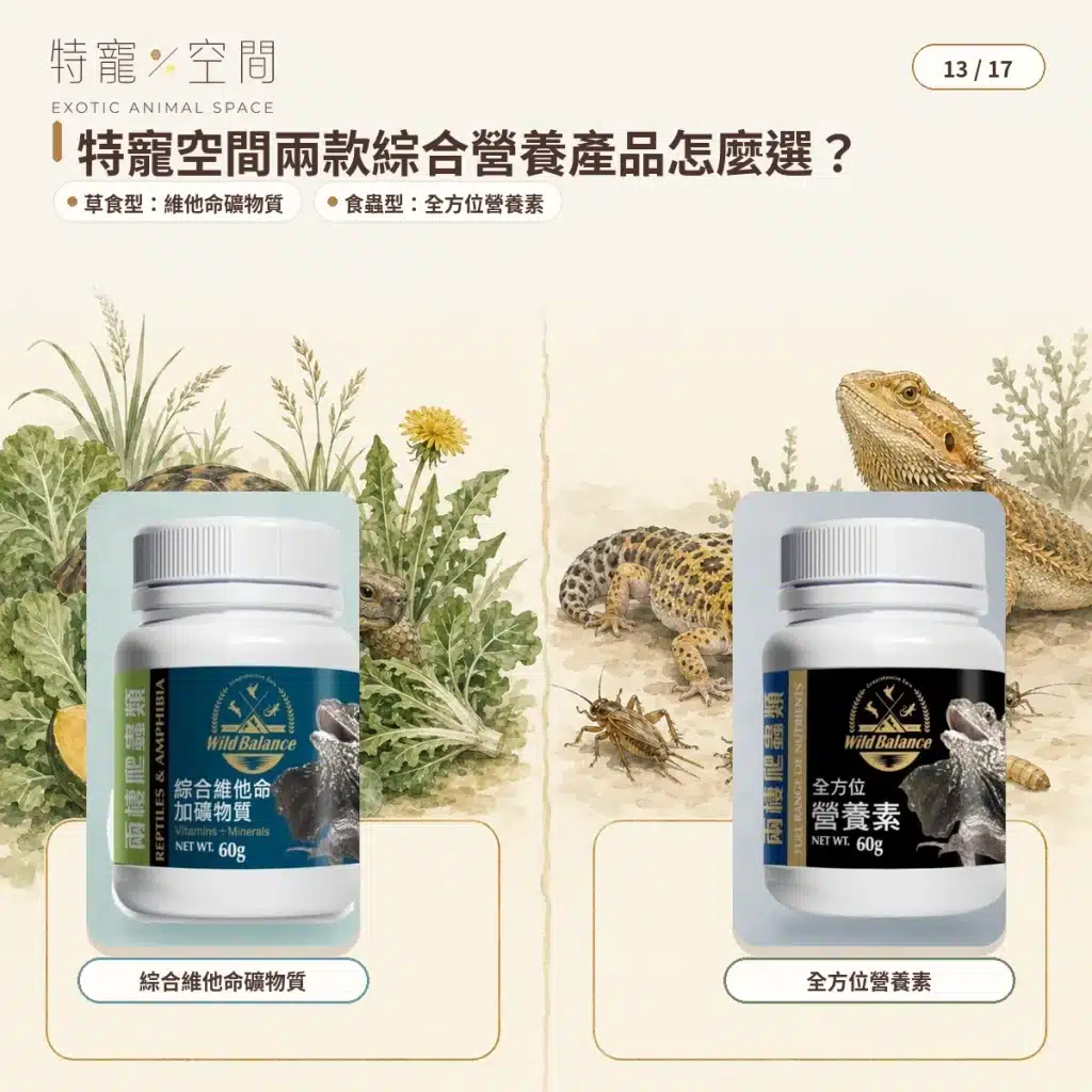 爬蟲維他命怎麼選?種類、使用頻率、鈣粉搭配與過量風險完整指南 13 EXOTIC ANIMAL SPACE VITAMIN PRODUCTS