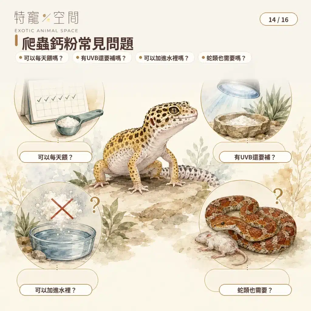 14 REPTILE CALCIUM POWDER FAQ