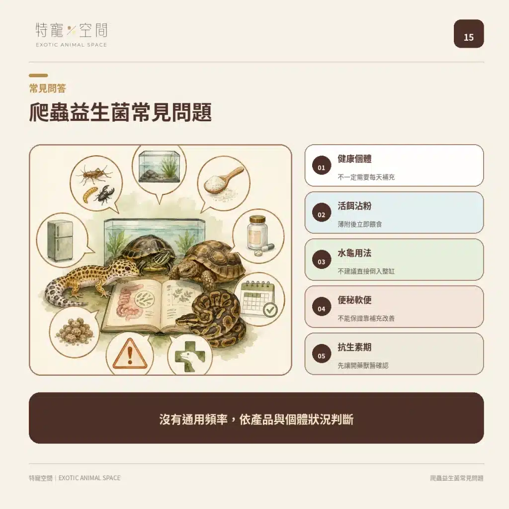 爬蟲益生菌有必要嗎?益生菌配方不能亂餵,拒食、軟便與正確用法一次看懂 15 FAQ
