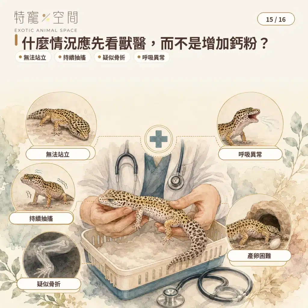 15 WHEN TO SEE EXOTIC VET