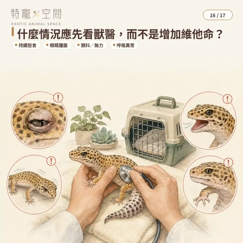 爬蟲維他命怎麼選?種類、使用頻率、鈣粉搭配與過量風險完整指南 16 WHEN TO SEE EXOTIC VET