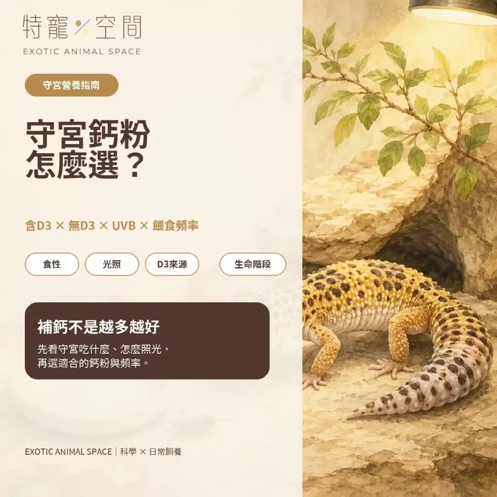 守宮鈣粉