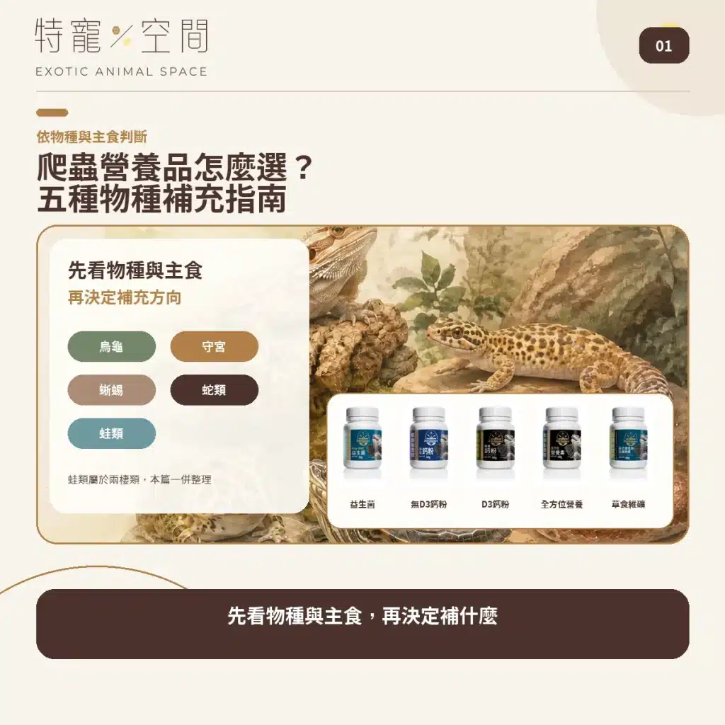 爬蟲營養品怎麼選