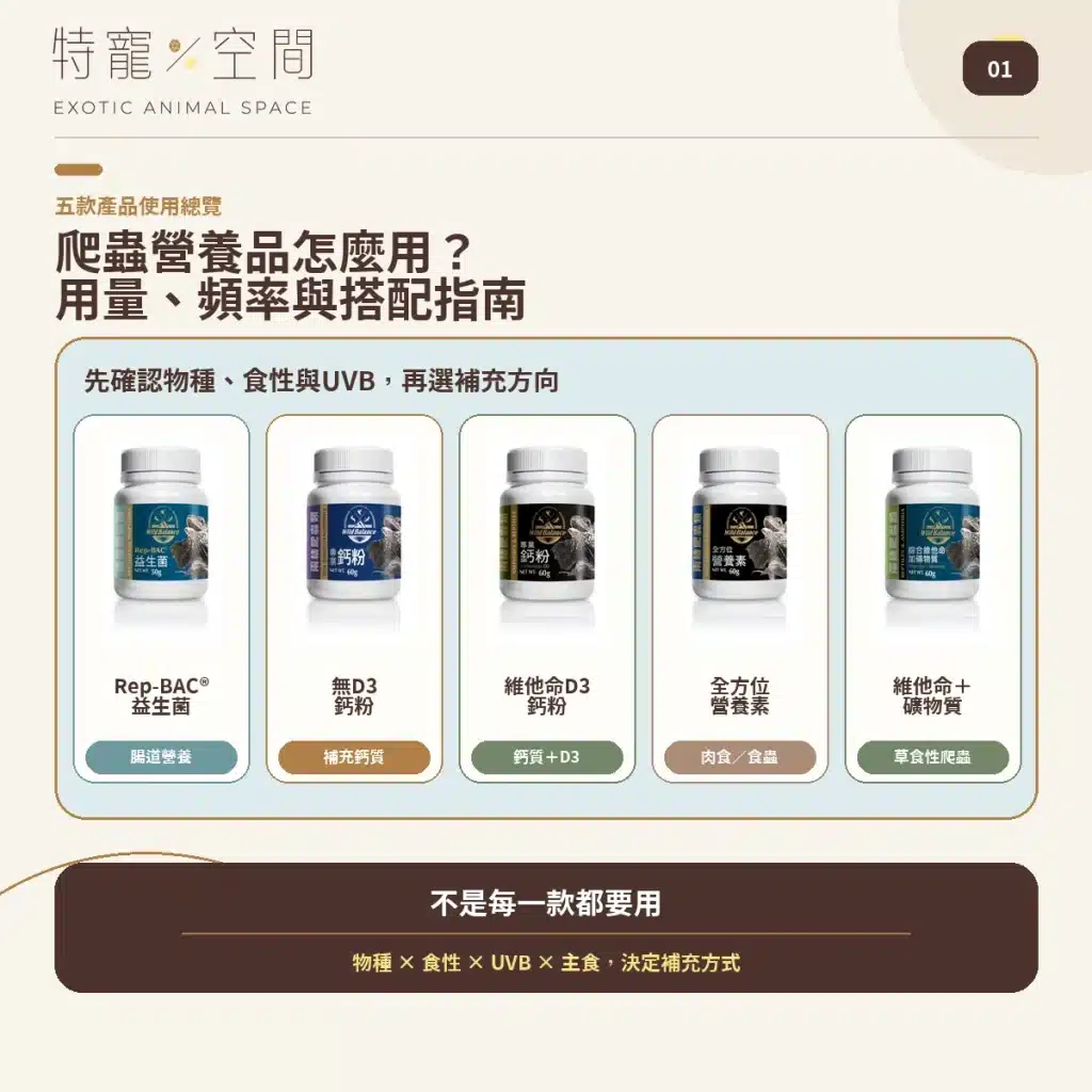 爬蟲營養品怎麼用?5款常見產品用量、頻率與搭配指南,益生菌、D3鈣粉、營養素、礦物質 爬蟲營養品怎麼用