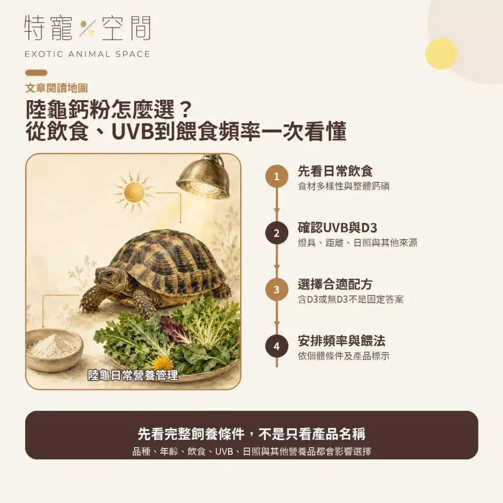 陸龜鈣粉