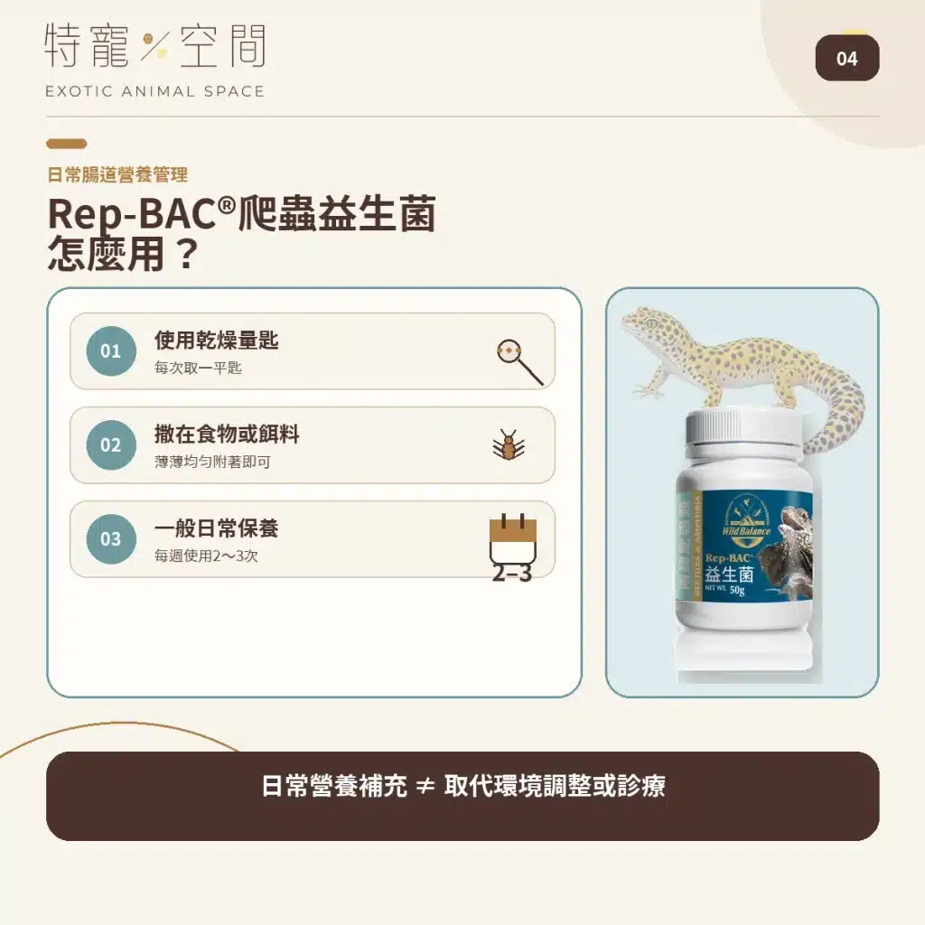 爬蟲營養品怎麼用?5款常見產品用量、頻率與搭配指南,益生菌、D3鈣粉、營養素、礦物質 04 REP BAC PROBIOTIC HOW TO USE