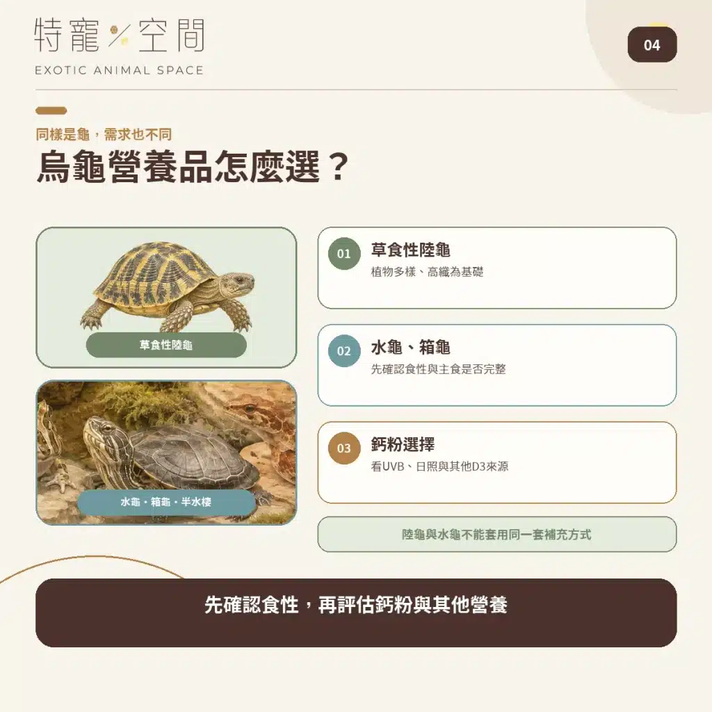 04 TURTLE SUPPLEMENT GUIDE