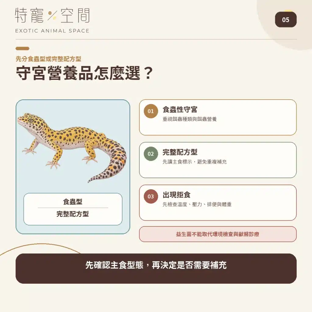 05 GECKO SUPPLEMENT GUIDE