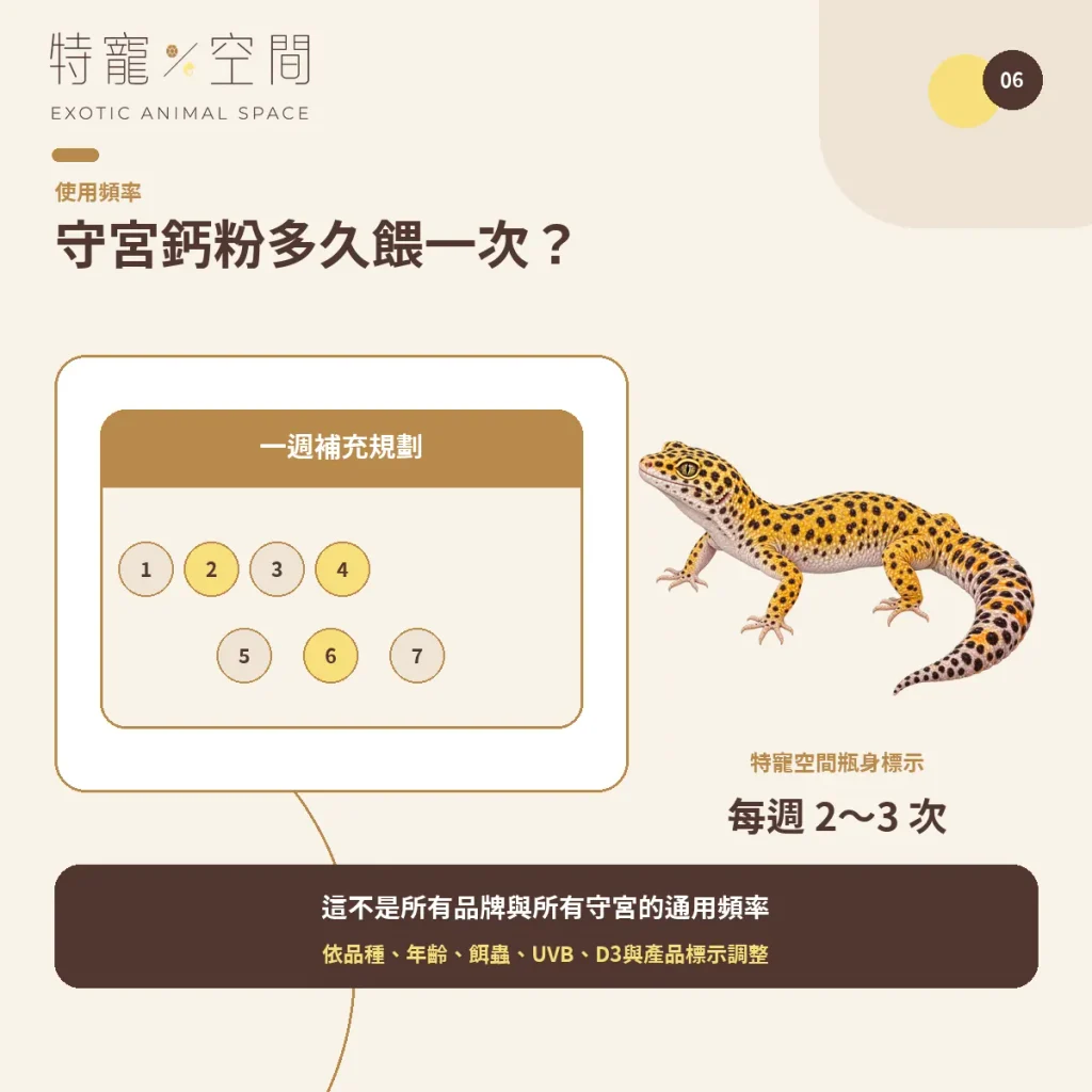守宮鈣粉怎麼選?含D3、無D3、餵食頻率與正確用法一次看懂 06 GECKO CALCIUM FREQUENCY