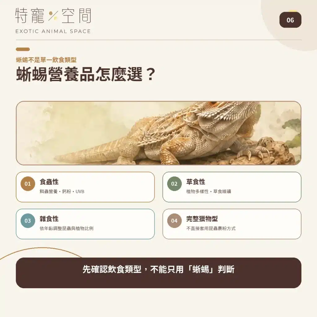 06 LIZARD SUPPLEMENT GUIDE