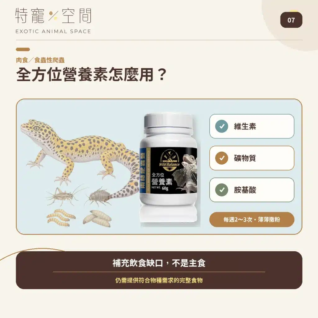 爬蟲營養品怎麼用?5款常見產品用量、頻率與搭配指南,益生菌、D3鈣粉、營養素、礦物質 07 FULL RANGE NUTRIENTS HOW TO USE