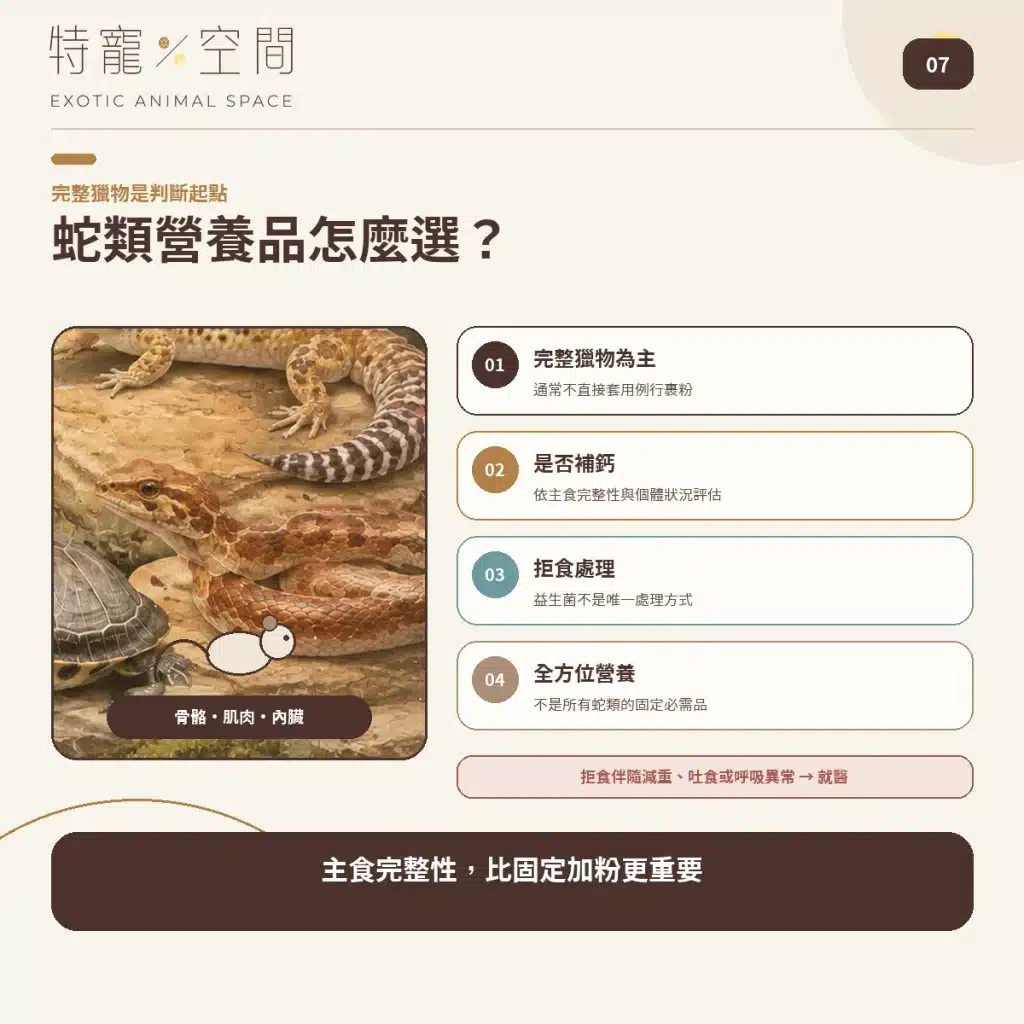 07 SNAKE SUPPLEMENT GUIDE
