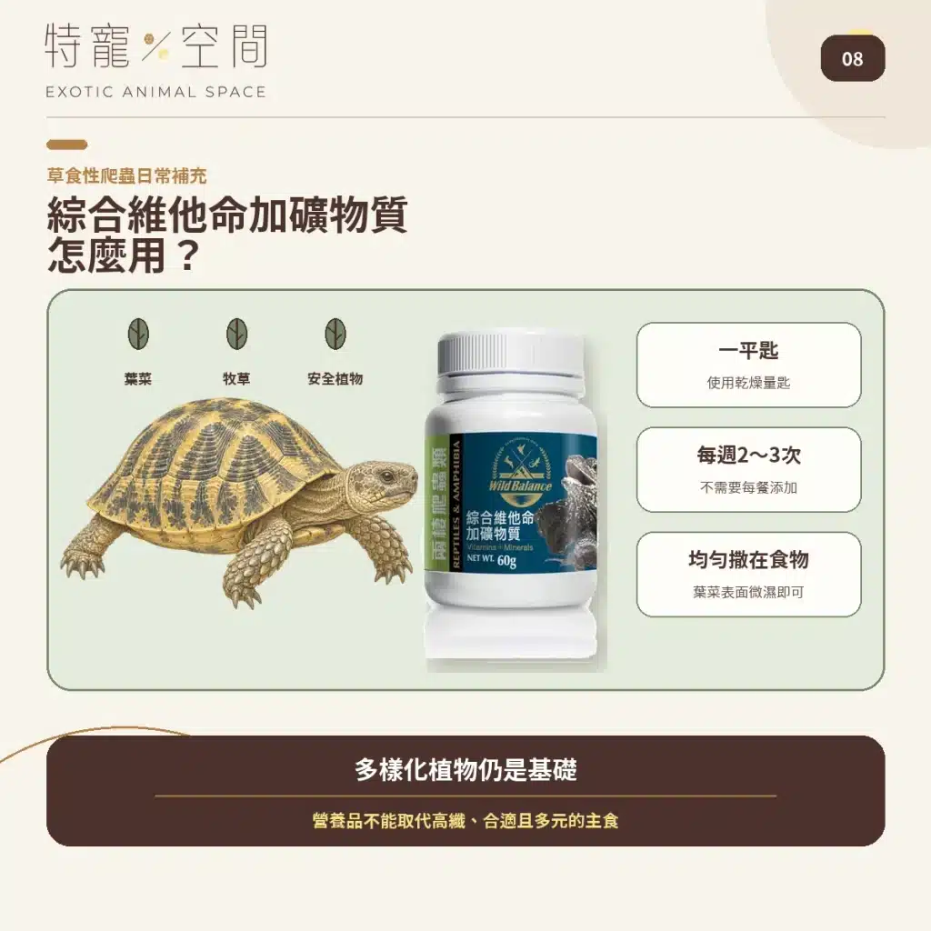 爬蟲營養品怎麼用?5款常見產品用量、頻率與搭配指南,益生菌、D3鈣粉、營養素、礦物質 08 VITAMINS MINERALS HOW TO USE