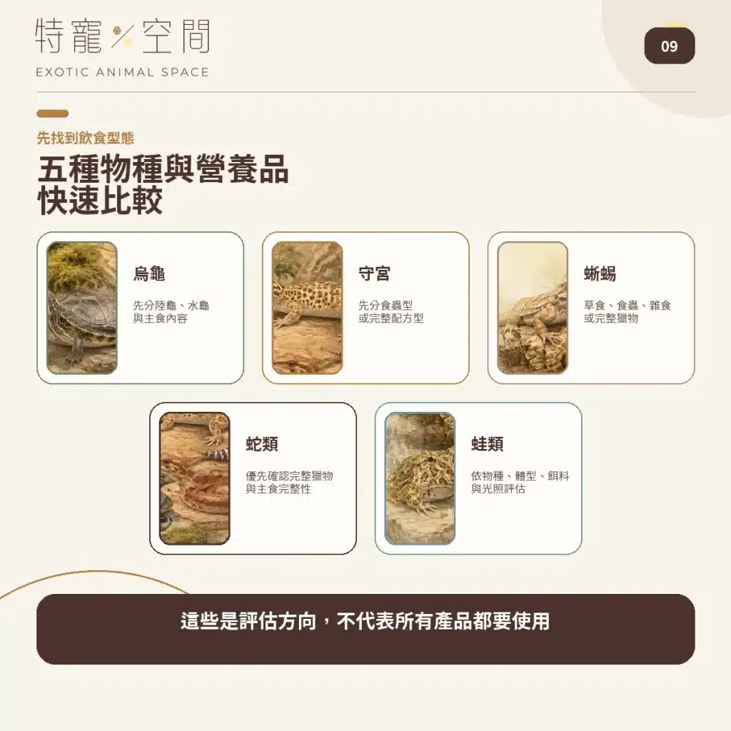 09 REPTILE SPECIES SUPPLEMENT COMPARISON