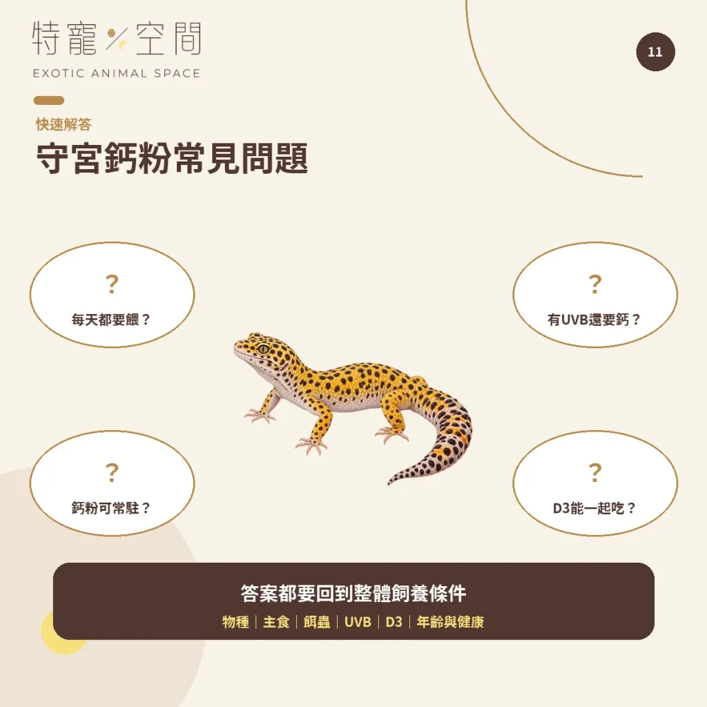 守宮鈣粉怎麼選?含D3、無D3、餵食頻率與正確用法一次看懂 11 GECKO CALCIUM FAQ