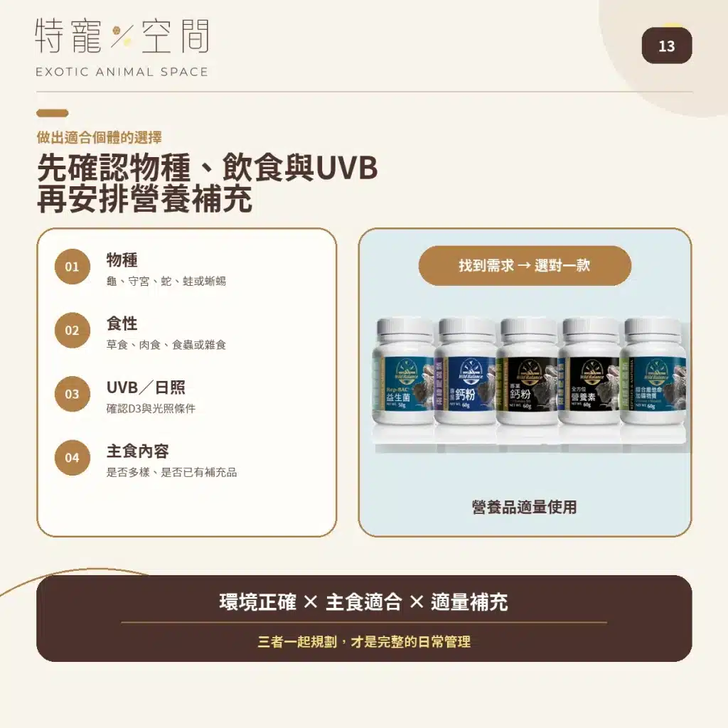 爬蟲營養品怎麼用?5款常見產品用量、頻率與搭配指南,益生菌、D3鈣粉、營養素、礦物質 爬蟲營養品怎麼用結語