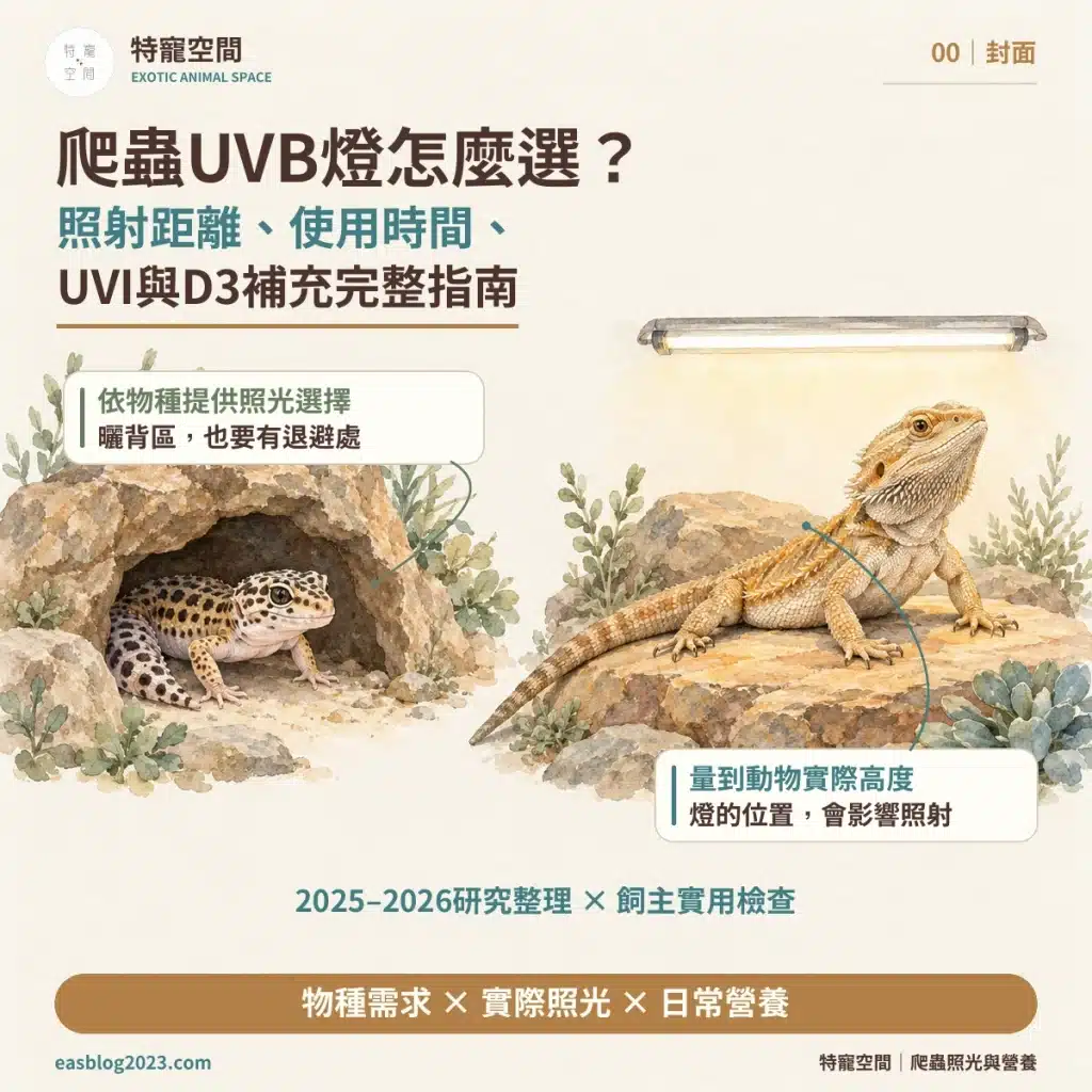 爬蟲UVB燈怎麼選?破解爬蟲燈具三大迷思:搞懂照射距離與波段,才不會害牠代謝性骨病 00 封面 爬蟲UVB燈怎麼選