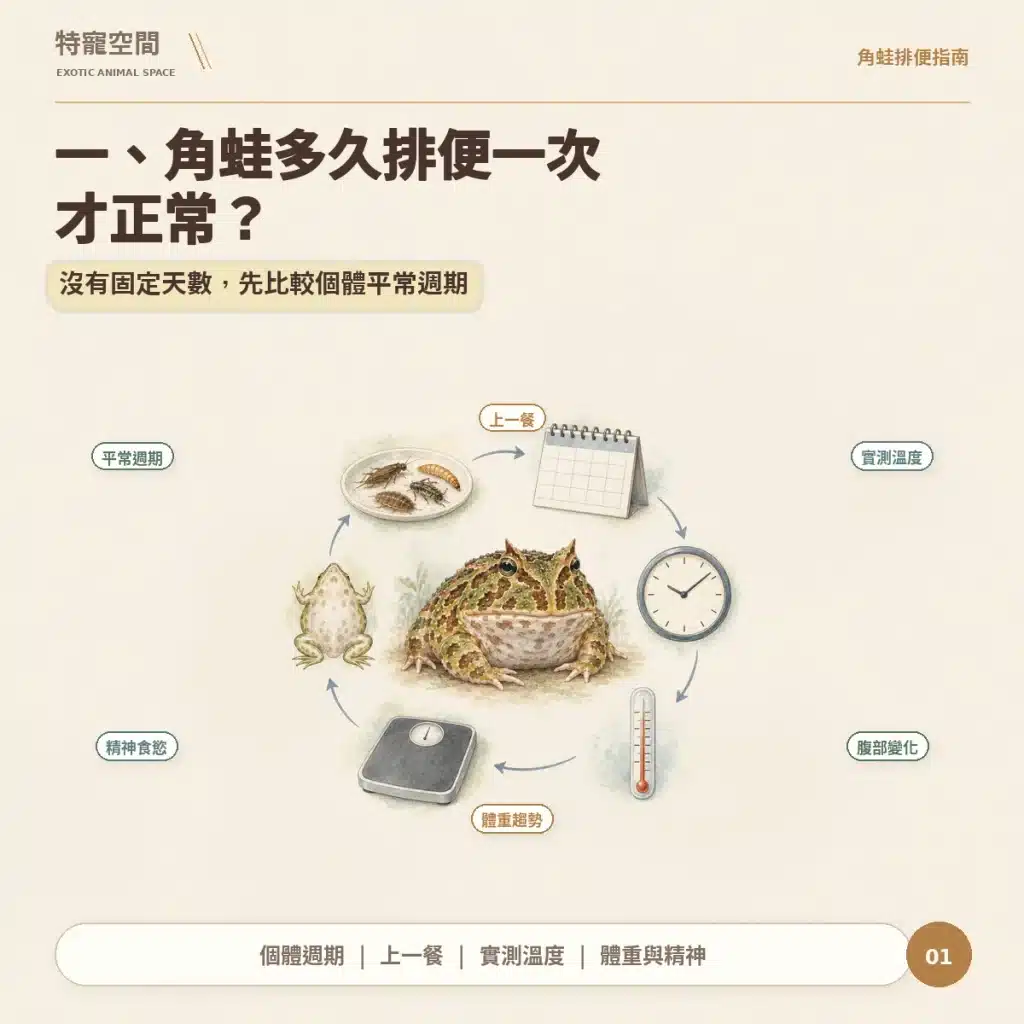 角蛙大便多久才正常