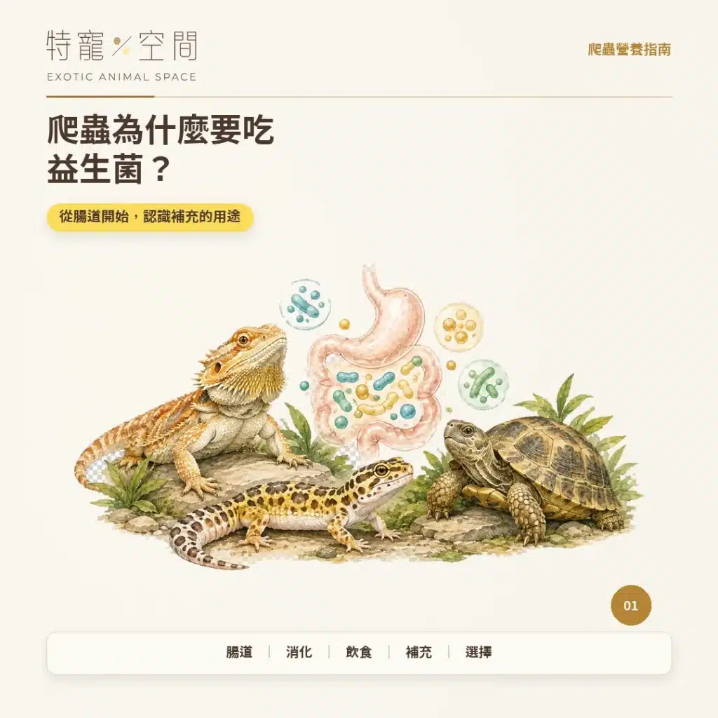 爬蟲為什麼要吃益生菌? 01 爬蟲為什麼要吃益生菌 封面