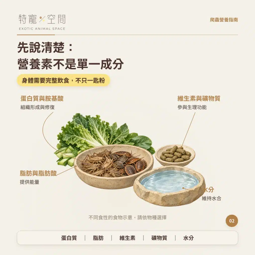 爬蟲為什麼要吃營養素? 02 先說清楚 營養素不是單一成分