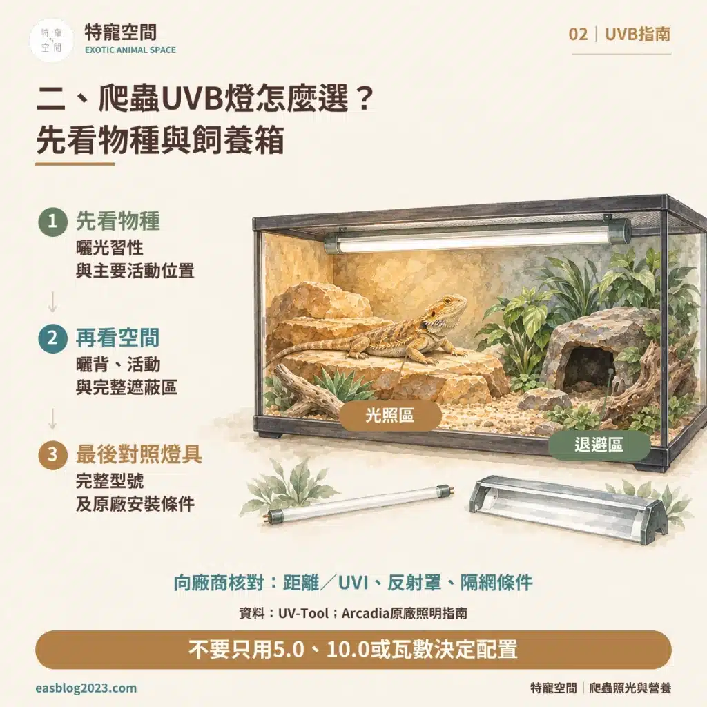 爬蟲UVB燈怎麼選?破解爬蟲燈具三大迷思:搞懂照射距離與波段,才不會害牠代謝性骨病 02 UVB燈選擇 物種與飼養箱