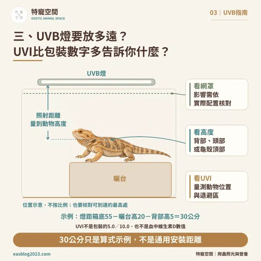 爬蟲UVB燈怎麼選?破解爬蟲燈具三大迷思:搞懂照射距離與波段,才不會害牠代謝性骨病 03 照射距離與UVI