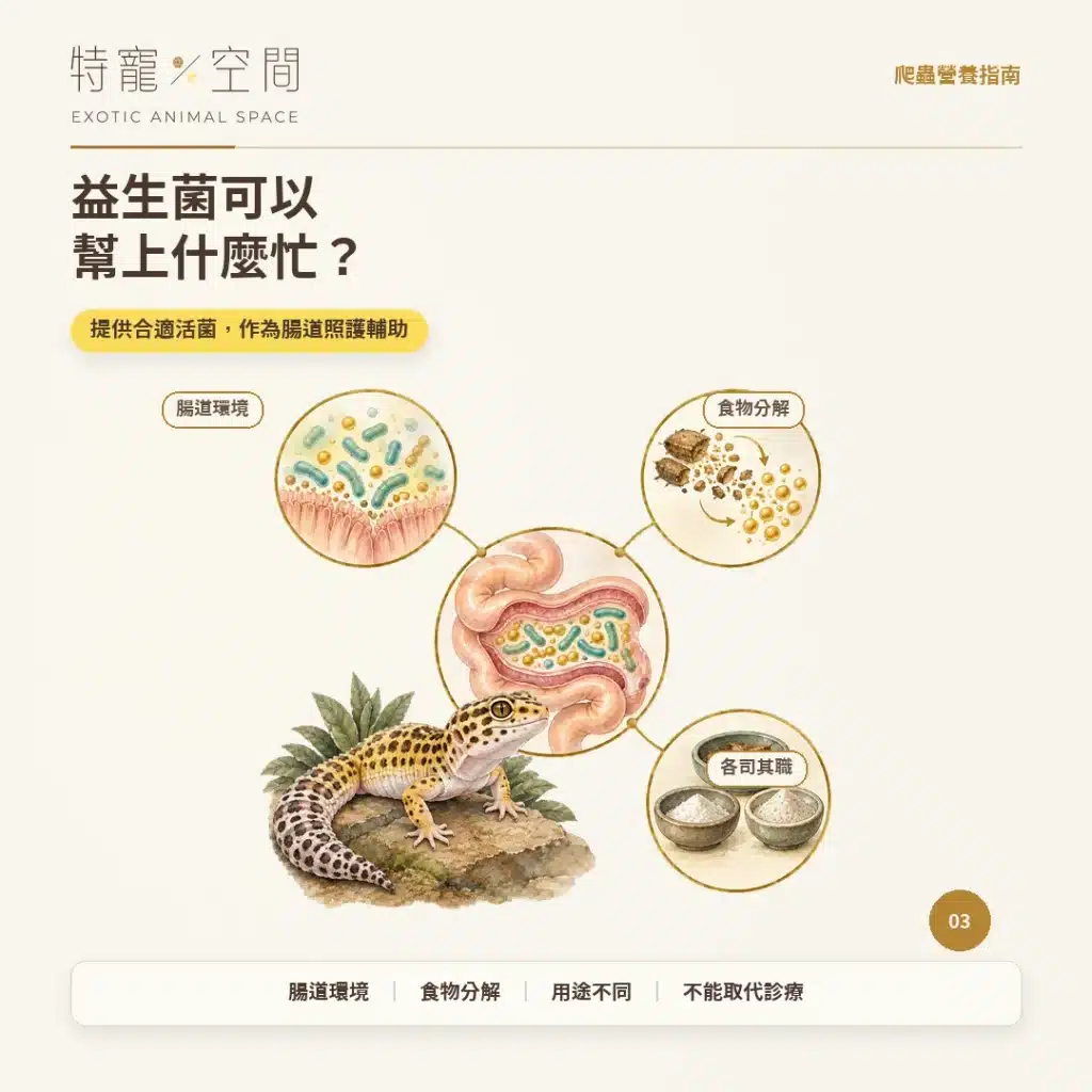 爬蟲為什麼要吃益生菌? 03 益生菌可以幫上什麼忙