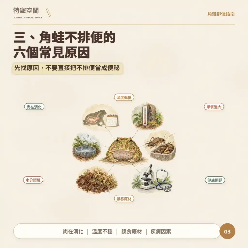 03 角蛙不排便六個常見原因