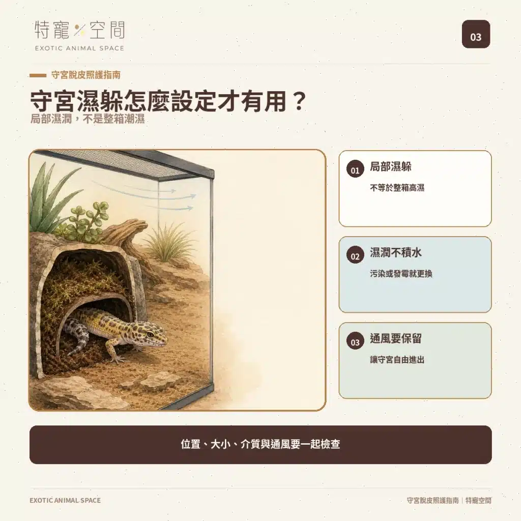 03 GECKO HUMID HIDE SETUP