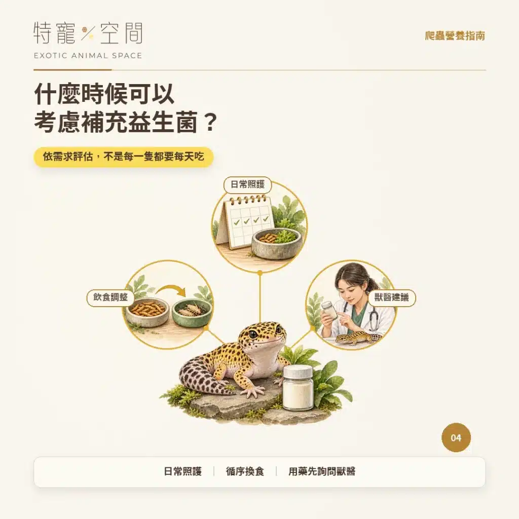 爬蟲為什麼要吃益生菌? 04 什麼時候可以考慮補充