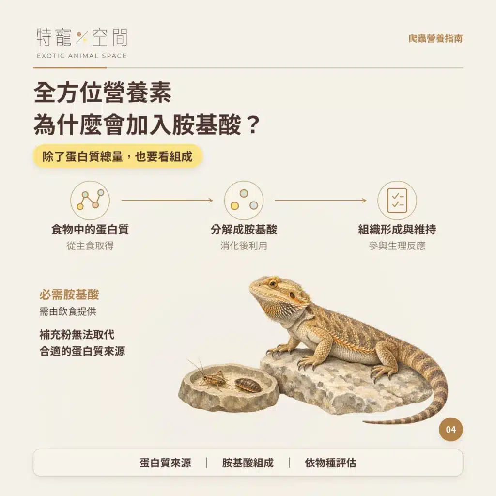 爬蟲為什麼要吃營養素? 04 全方位營養素為什麼會加入胺基酸