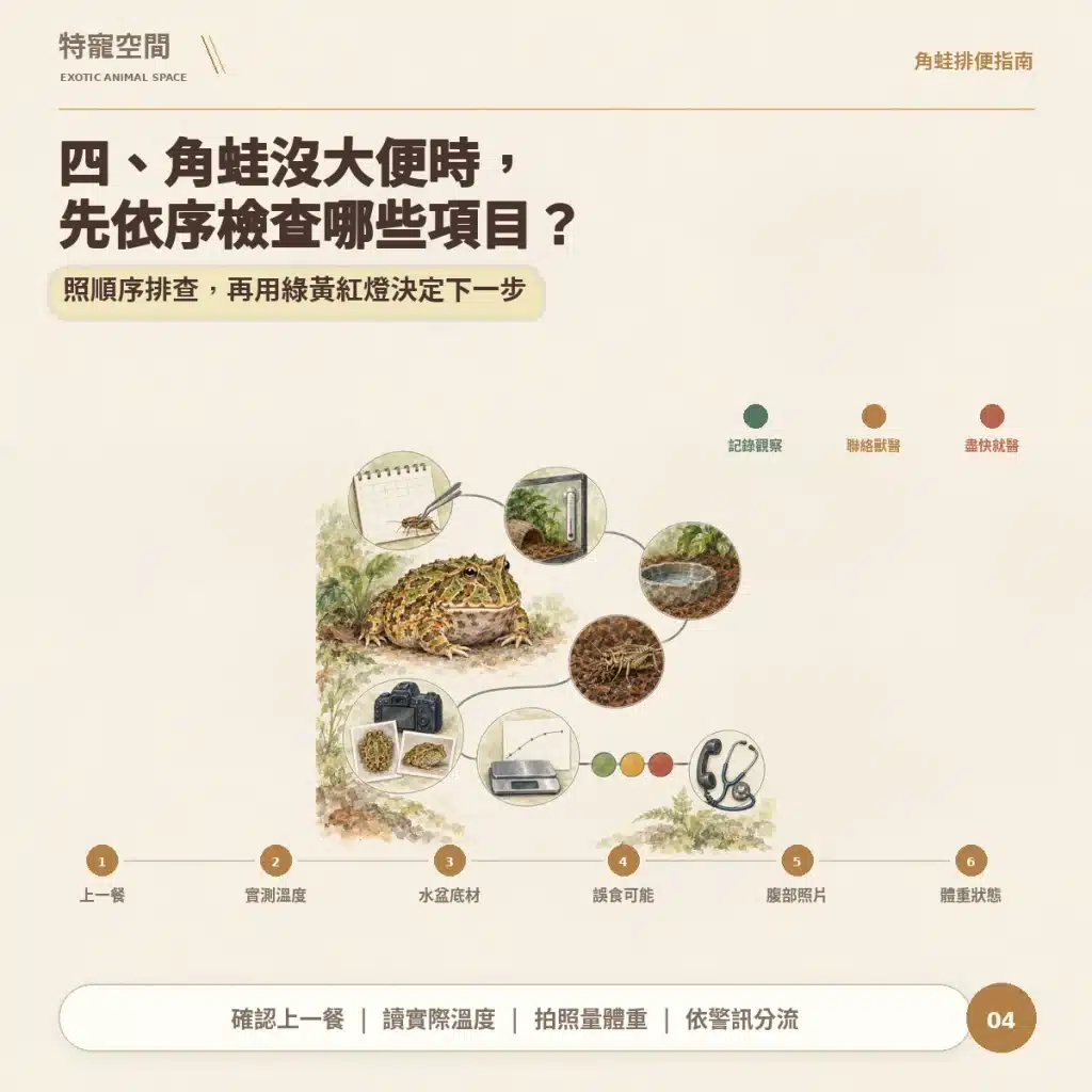 04 角蛙沒大便檢查順序
