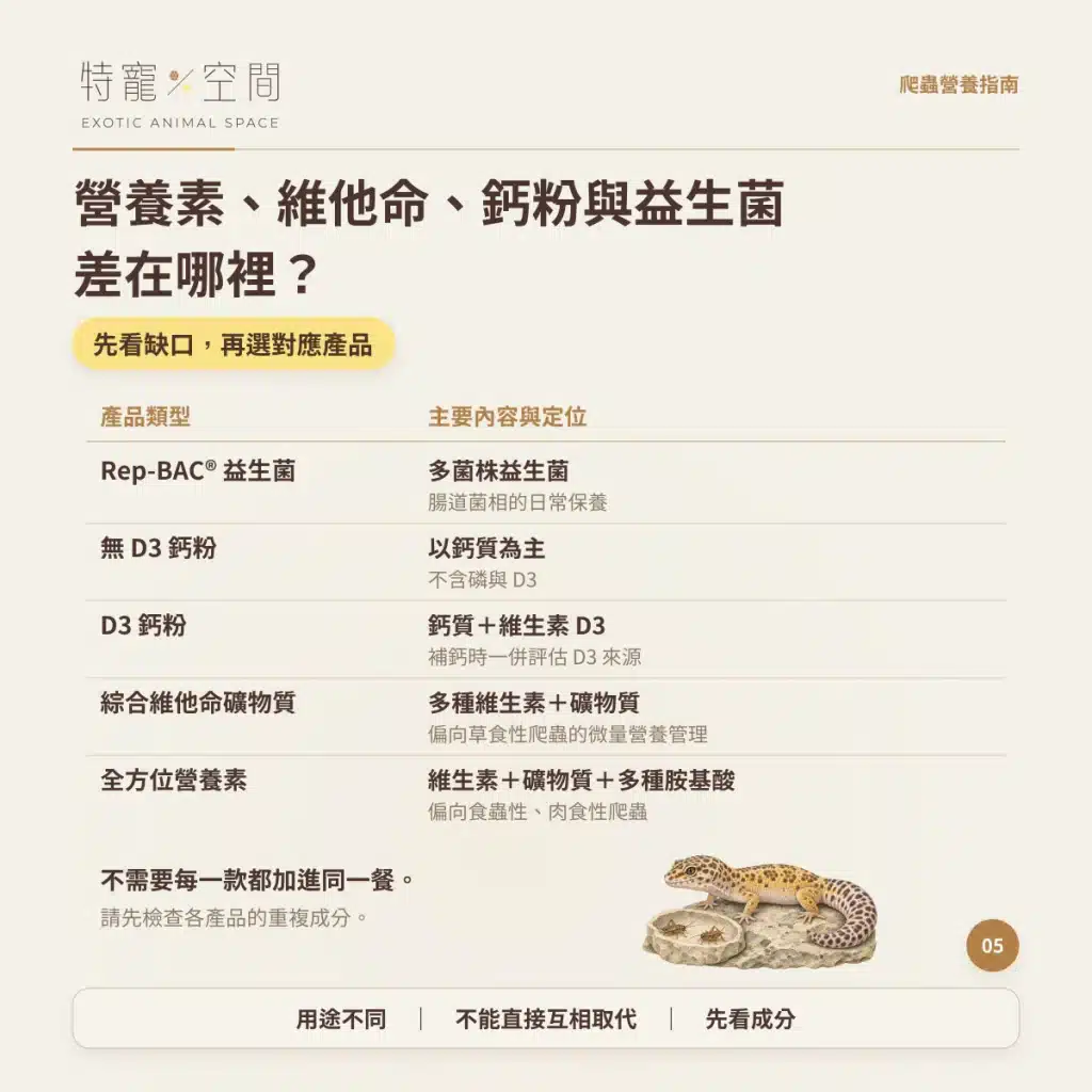 爬蟲為什麼要吃營養素? 05 全方位營養素、維他命、鈣粉與益生菌差在哪裡