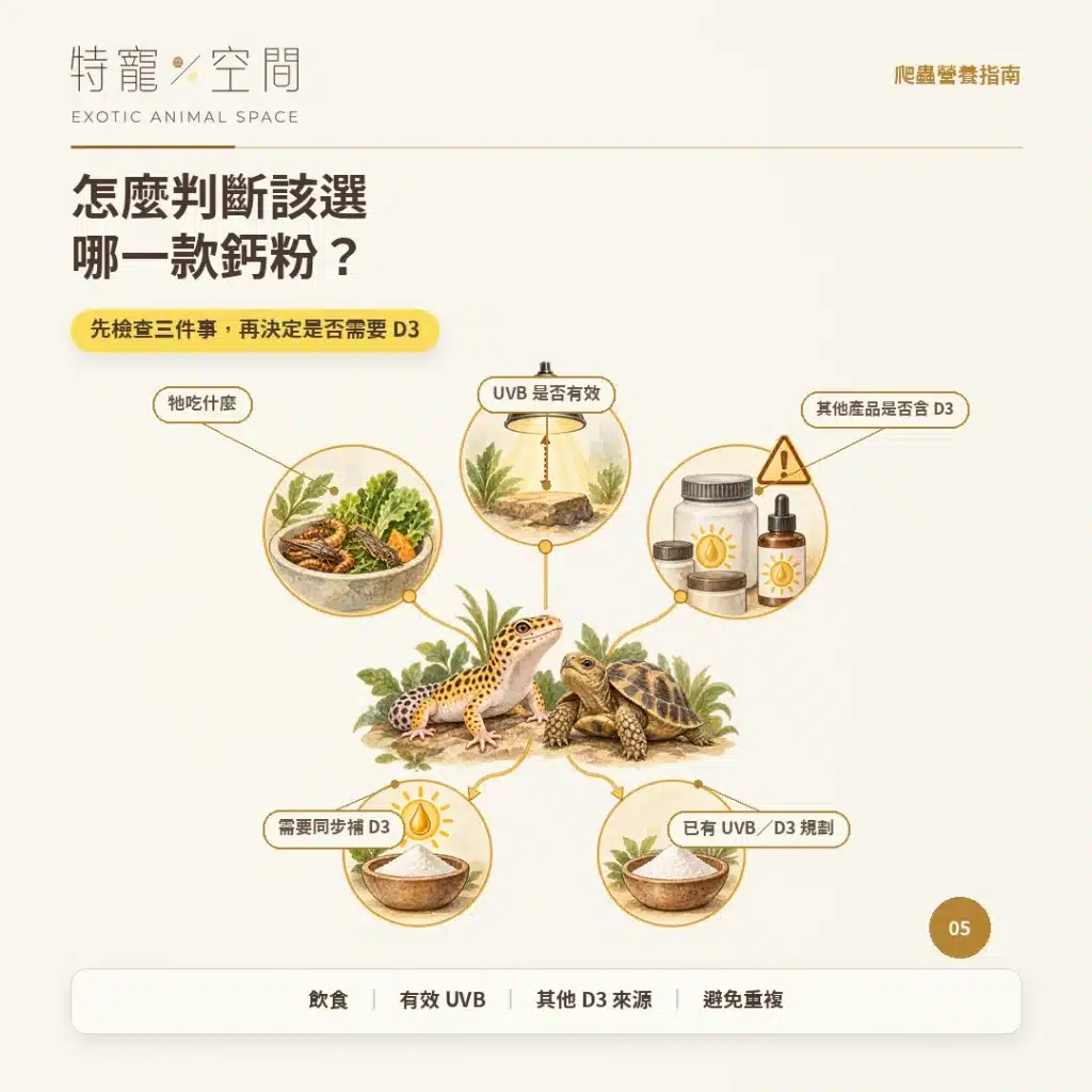 爬蟲為什麼要吃D3鈣粉? 05 怎麼判斷該選哪一款鈣粉