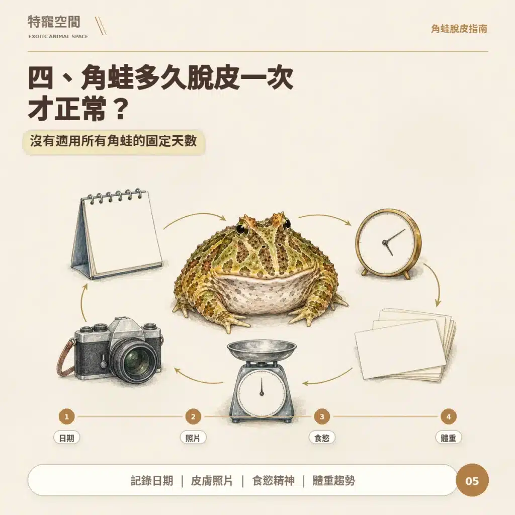 05 角蛙多久脫皮一次
