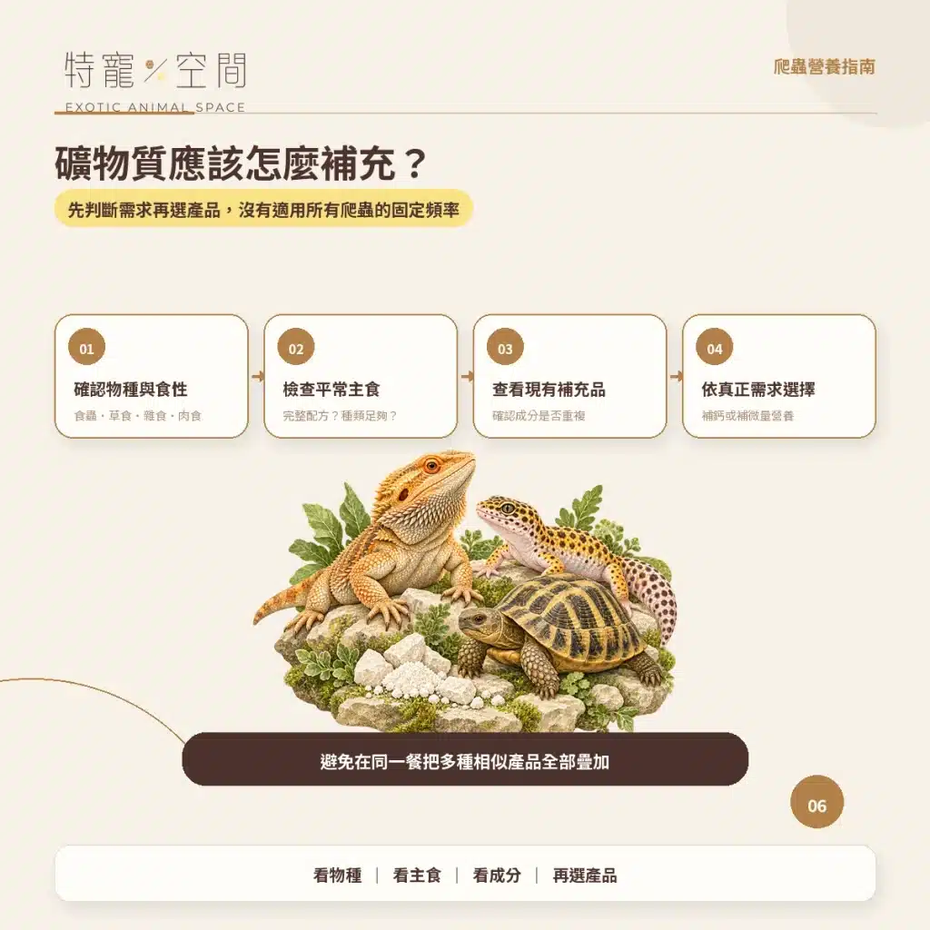 06 礦物質怎麼補充
