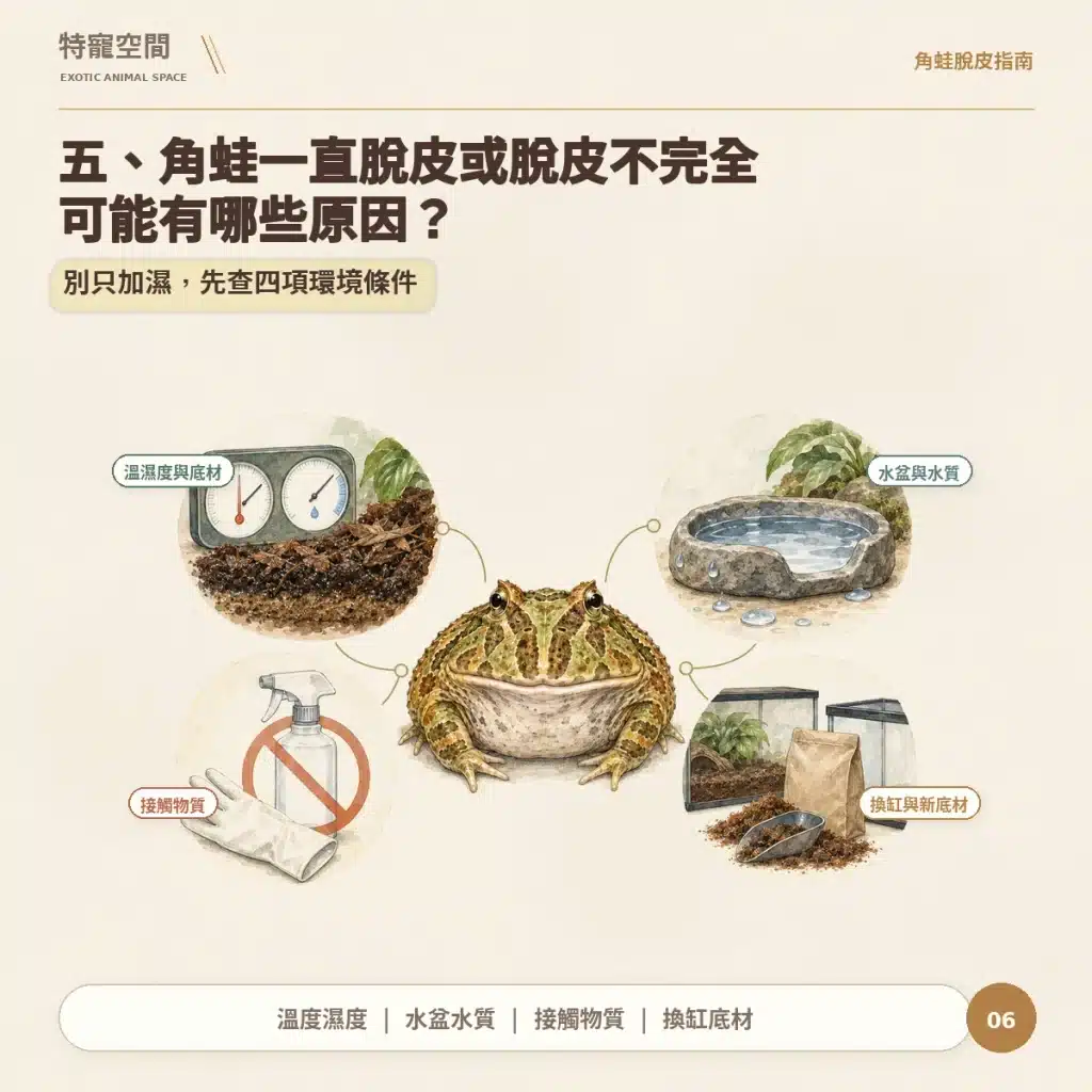 06 角蛙一直脫皮或脫皮不完全原因