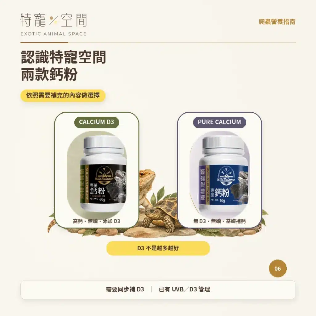 爬蟲為什麼要吃D3鈣粉? 06 認識特寵空間兩款鈣粉