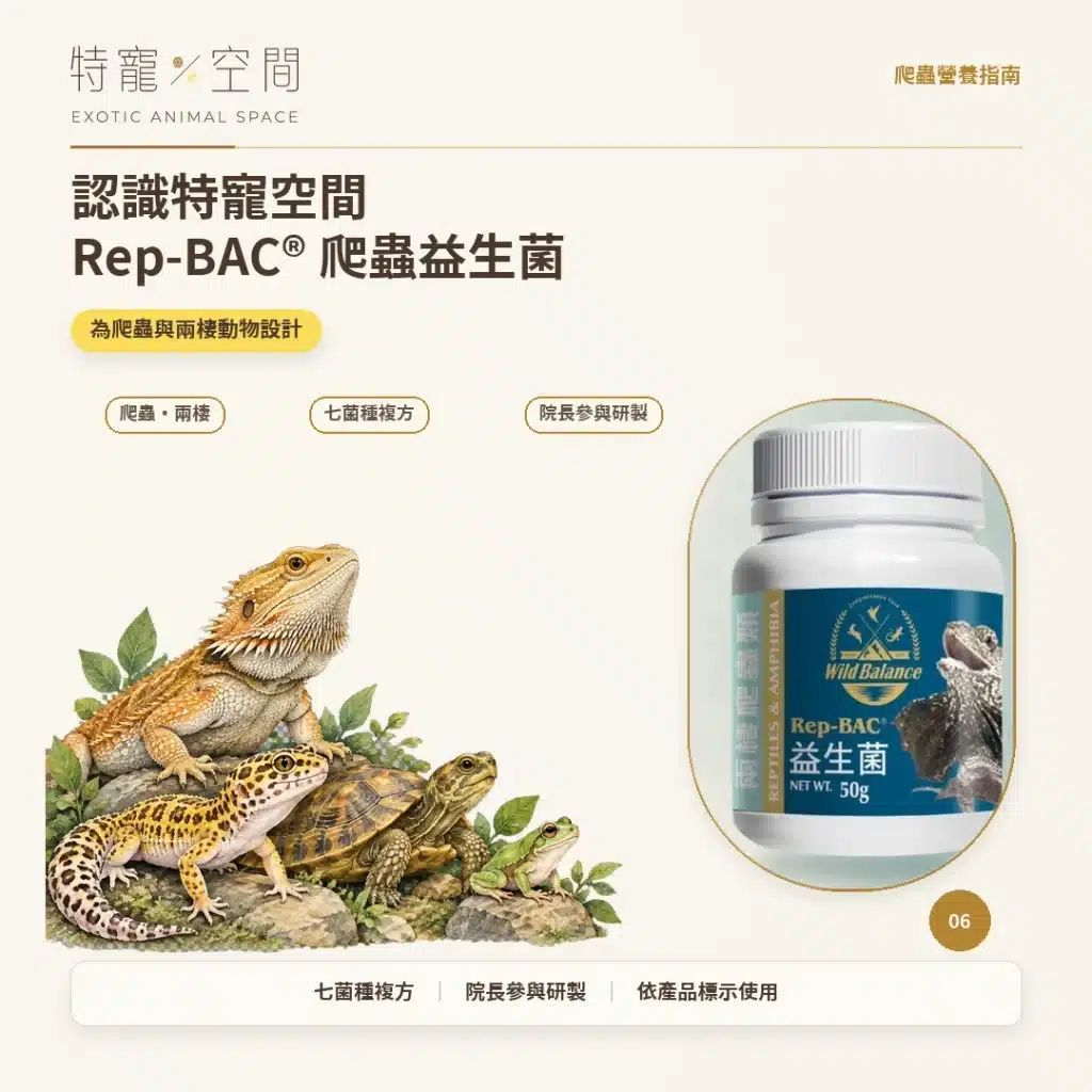 爬蟲為什麼要吃益生菌? 06 認識特寵空間REP BAC爬蟲益生菌
