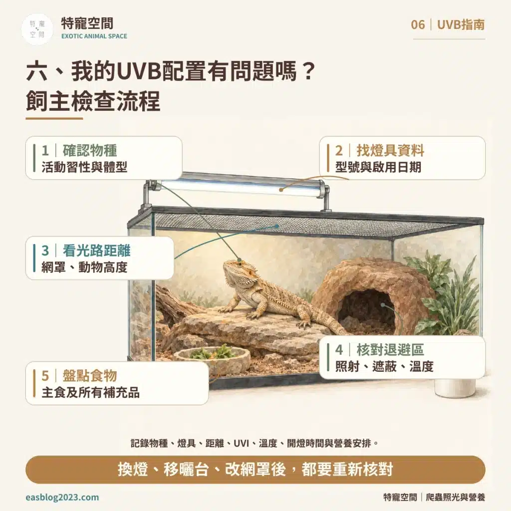 爬蟲UVB燈怎麼選?破解爬蟲燈具三大迷思:搞懂照射距離與波段,才不會害牠代謝性骨病 06 UVB配置檢查流程