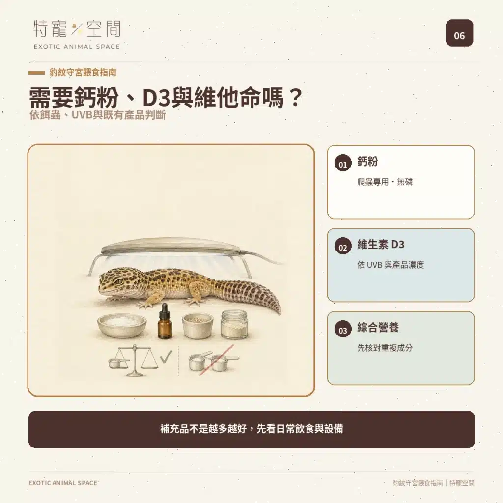 06 LEOPARD GECKO CALCIUM D3 VITAMINS