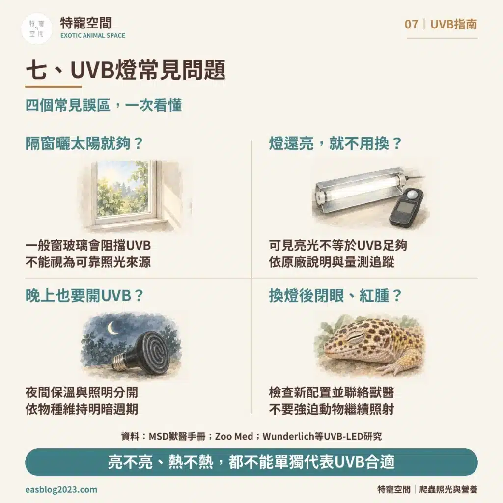 爬蟲UVB燈怎麼選?破解爬蟲燈具三大迷思:搞懂照射距離與波段,才不會害牠代謝性骨病 07 UVB燈常見問題