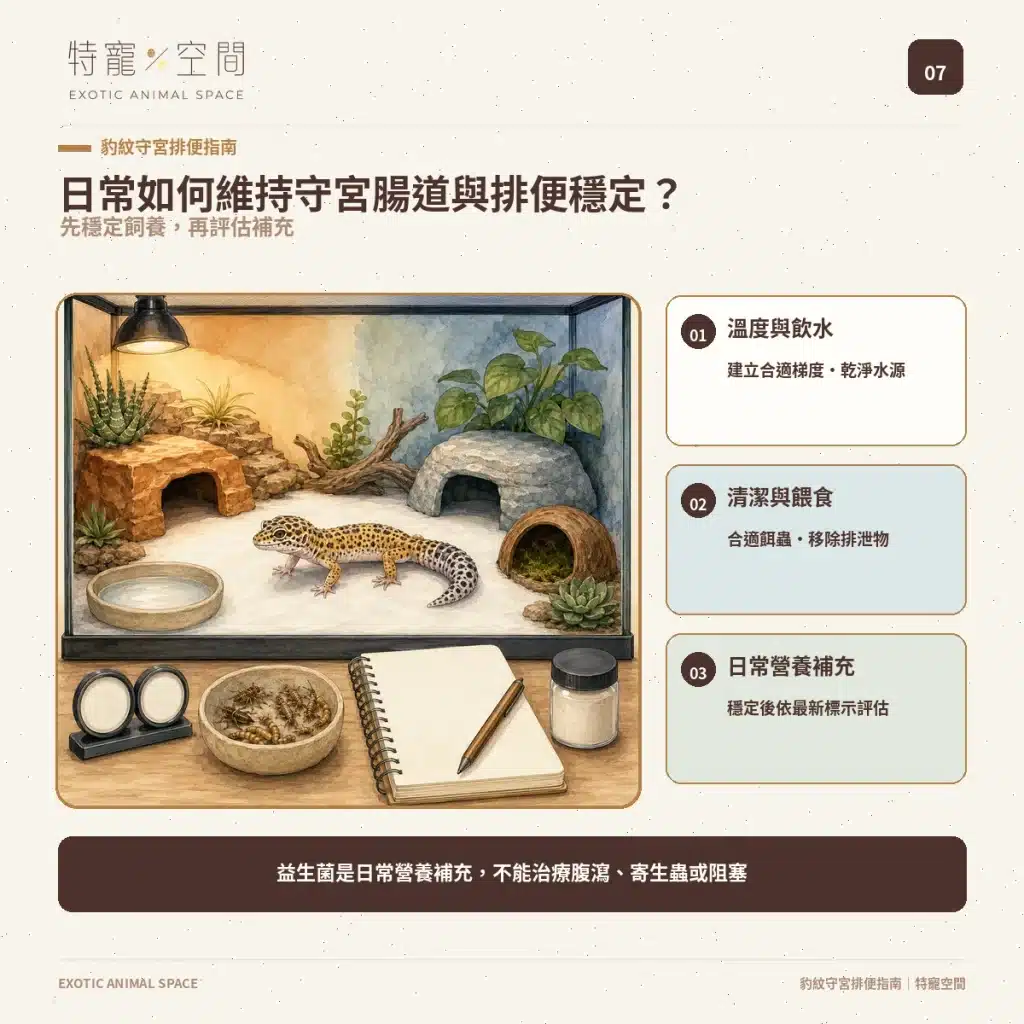 守宮大便正常嗎?豹紋守宮軟便、拉肚子、不排便與就醫警訊 07 LEOPARD GECKO DAILY GUT CARE