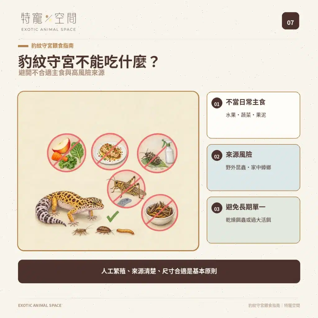 07 LEOPARD GECKO FOOD SAFETY
