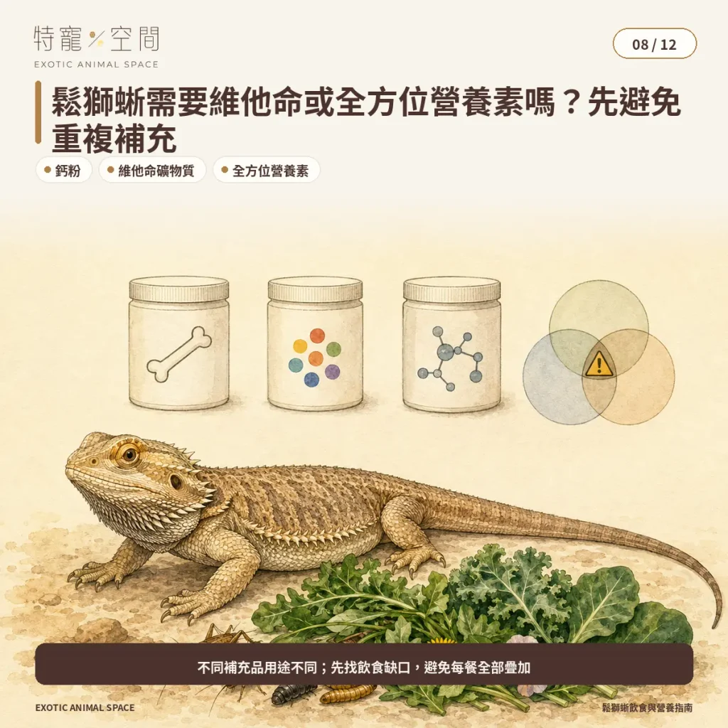 08 BEARDED DRAGON VITAMINS NUTRIENTS